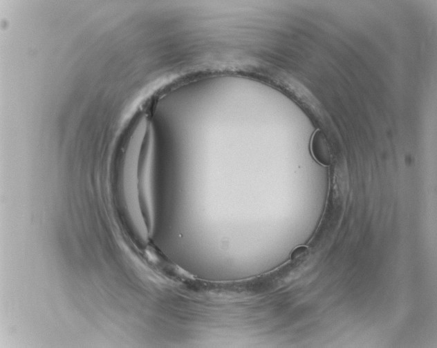 X0000059040722200511041636