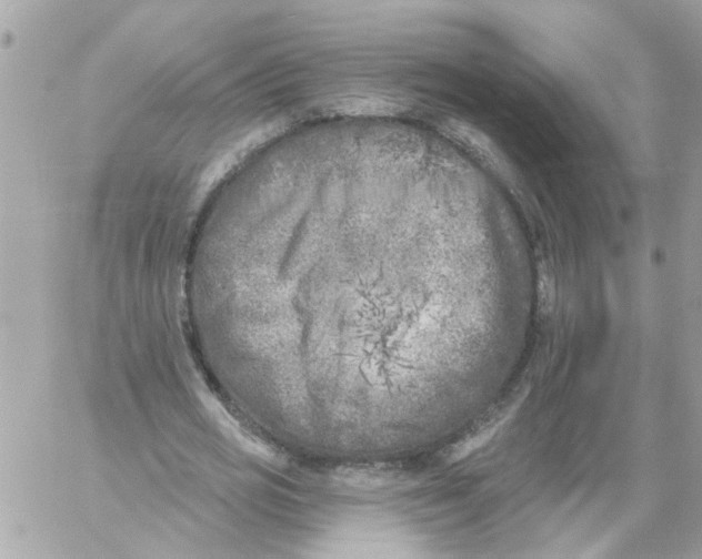 X0000059040725200511041636