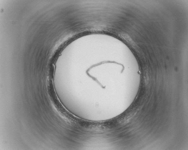 X0000059040728200511041636