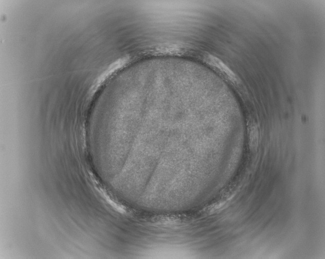 X0000059040729200511041636