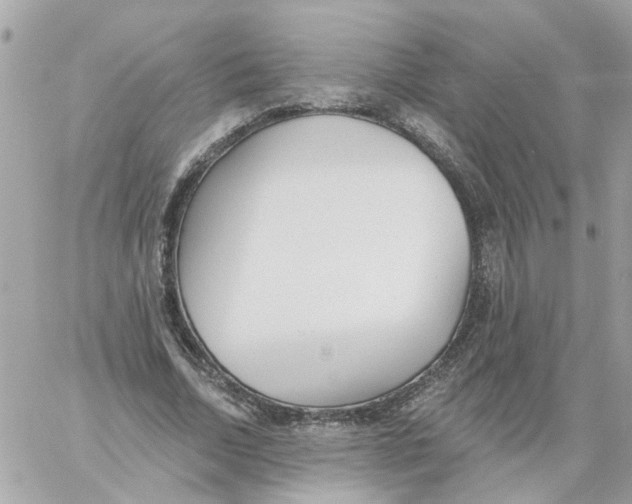 X0000059040730200511041636