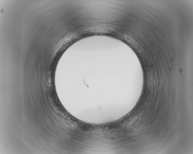 X0000059040731200511041636