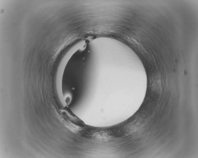 X0000059040735200511041636