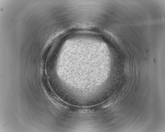 X0000059040736200511041636