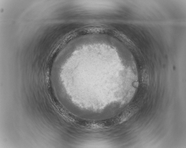 X0000059040737200511041636