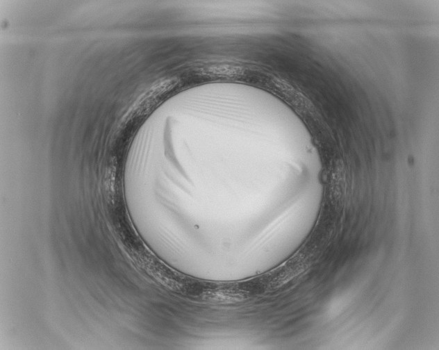 X0000059040739200511041636