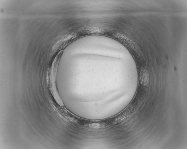 X0000059040740200511041636