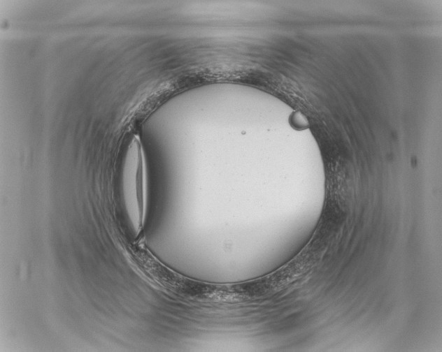 X0000059040742200511041636