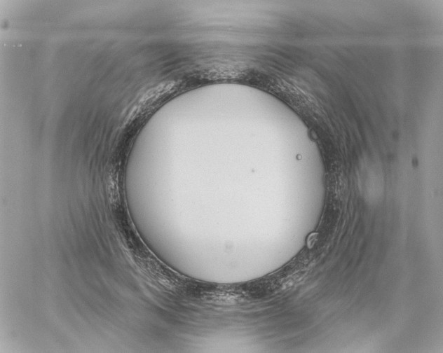 X0000059040743200511041636