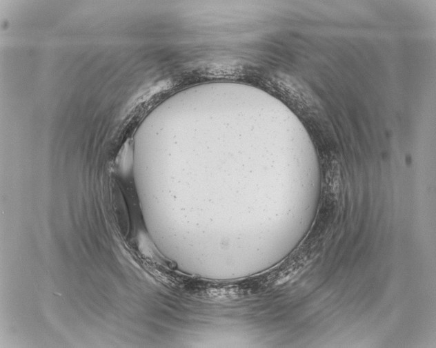 X0000059040744200511041636