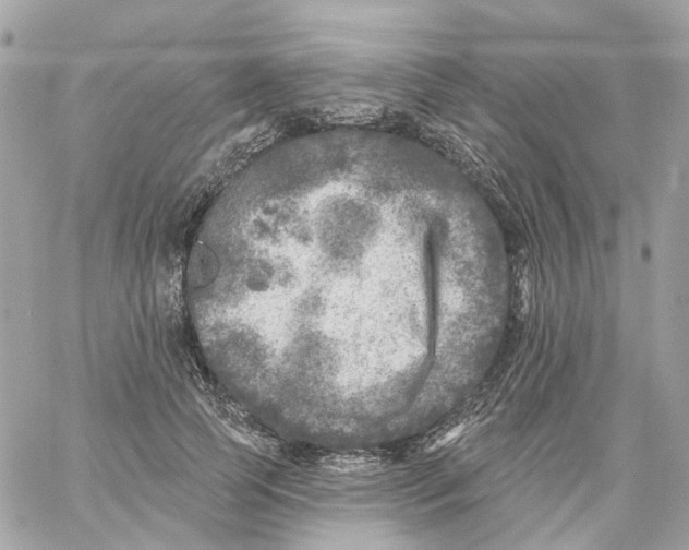 X0000059040745200511041636