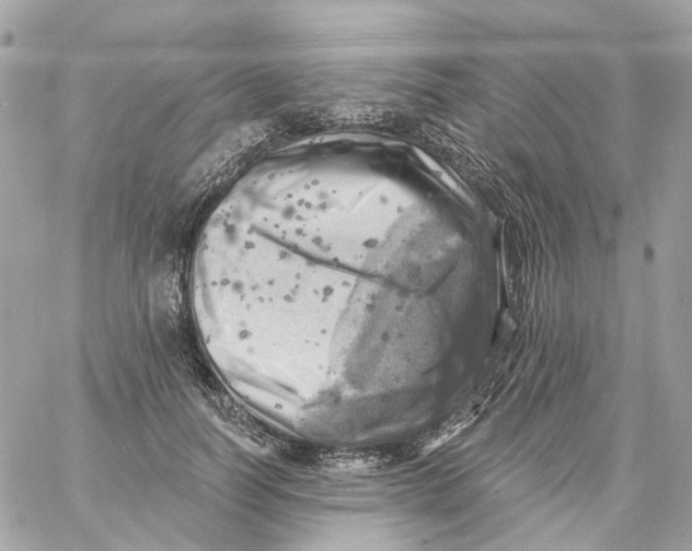 X0000059040746200511041636