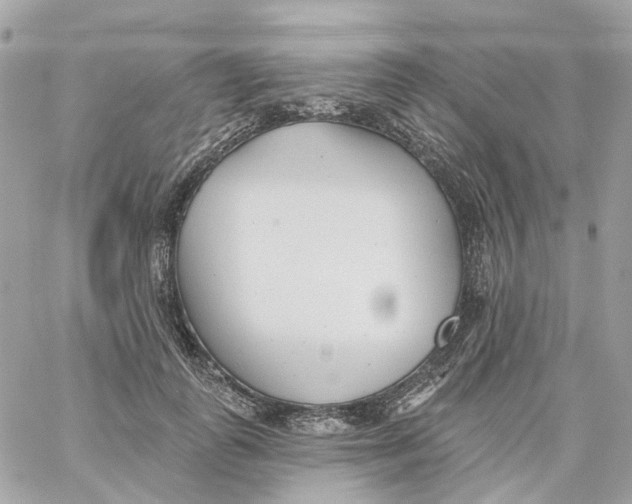 X0000059040747200511041636