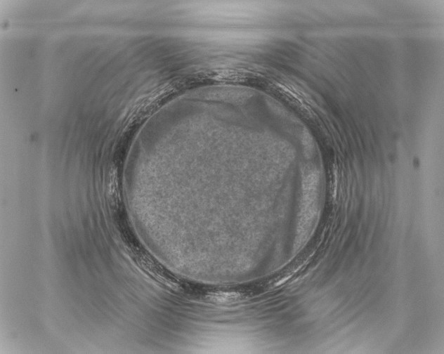 X0000059040748200511041636