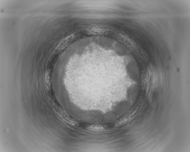 X0000059040749200511041636