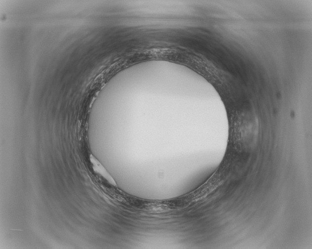 X0000059040750200511041636