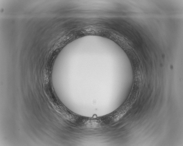 X0000059040751200511041636