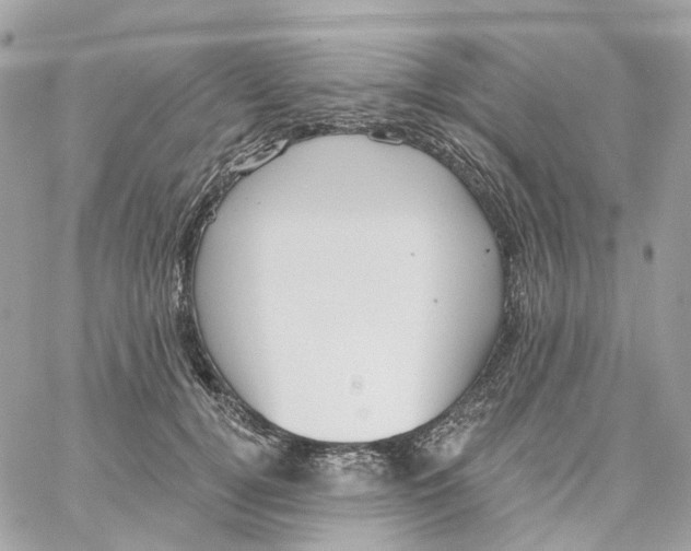 X0000059040752200511041636