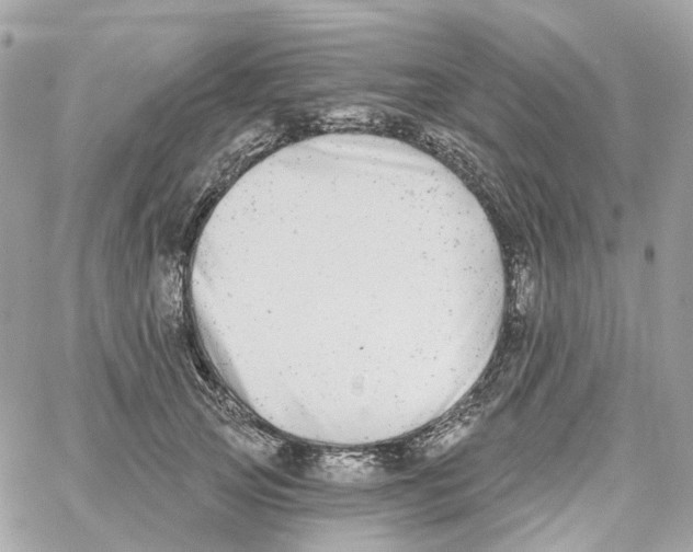 X0000059040753200511041636