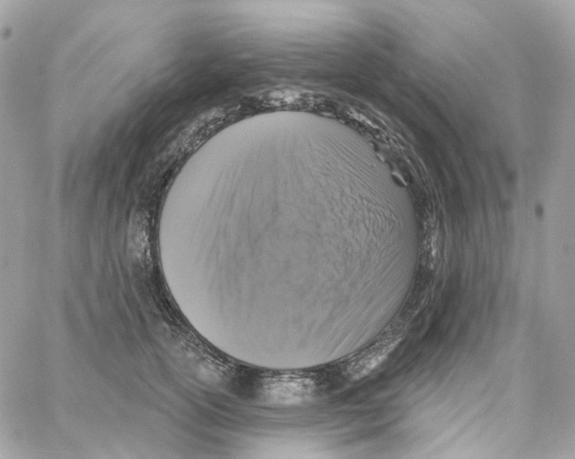 X0000059040754200511041636