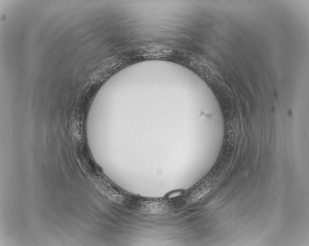 X0000059040755200511041636