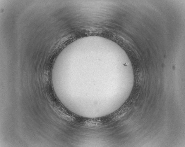 X0000059040756200511041636