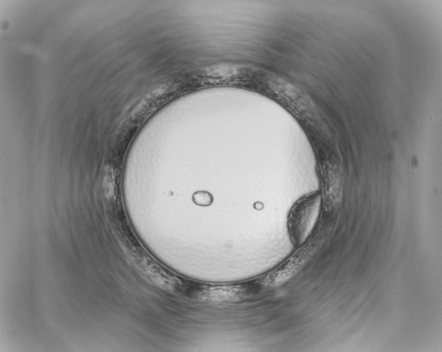 X0000059040758200511041636