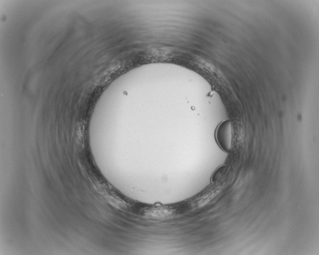 X0000059040759200511041636