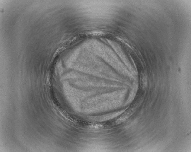 X0000059040760200511041636