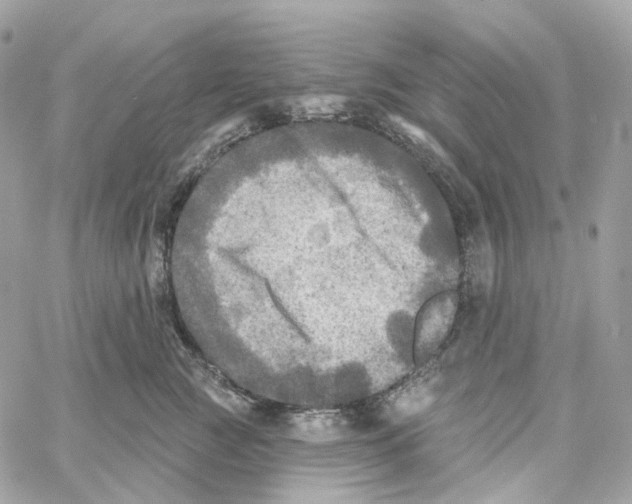 X0000059040761200511041636