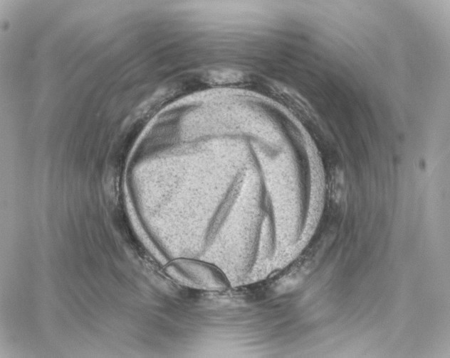 X0000059040763200511041636