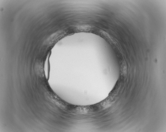 X0000059040764200511041636