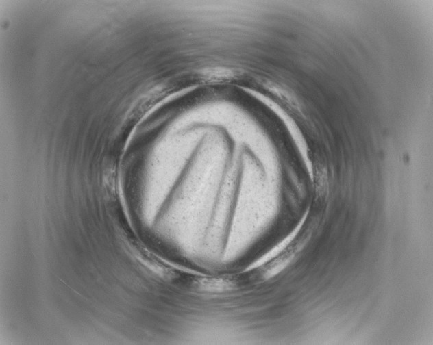 X0000059040766200511041636