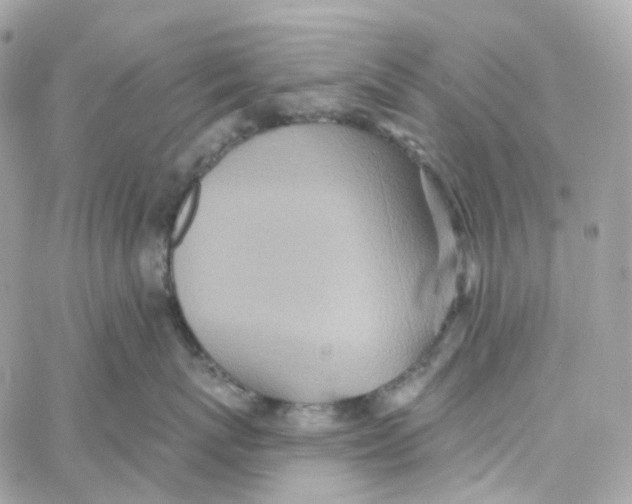 X0000059040767200511041636