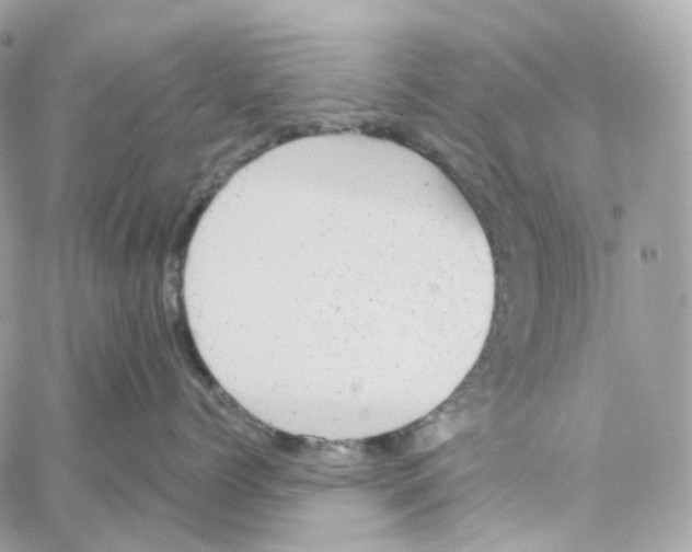 X0000059040768200511041636