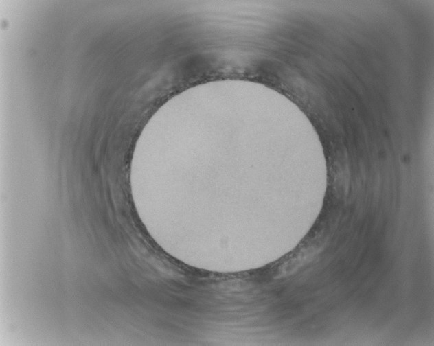 X0000059040769200511041636