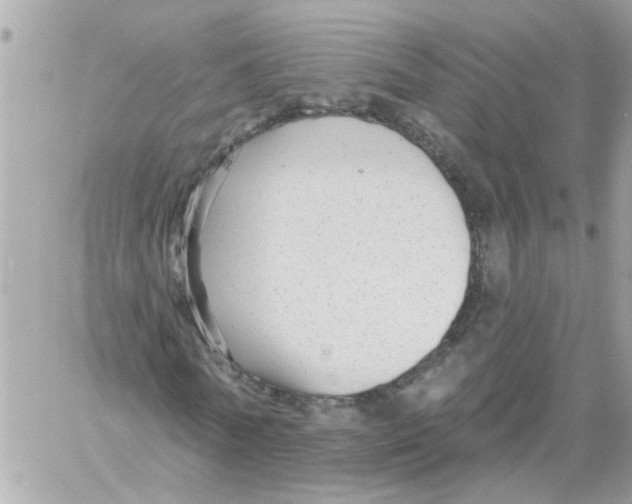 X0000059040770200511041636