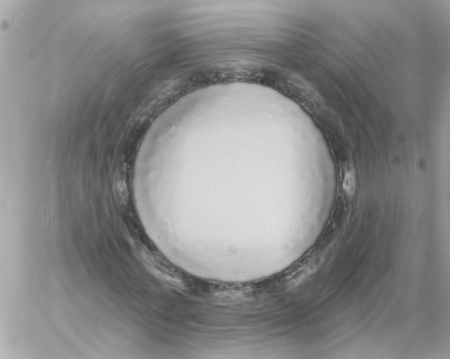 X0000059040771200511041636