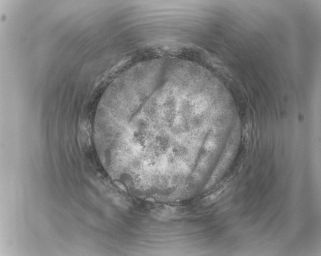 X0000059040772200511041636