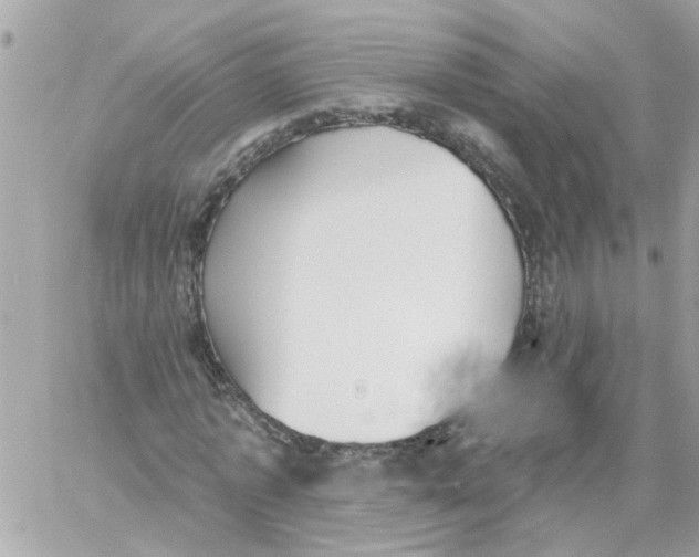 X0000059040773200511041635