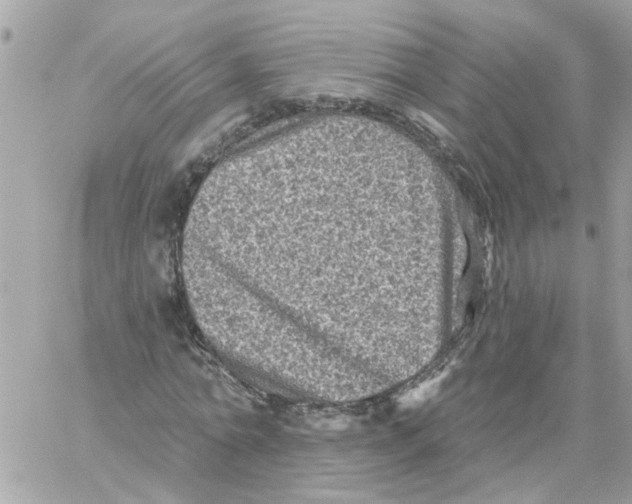 X0000059040774200511041635