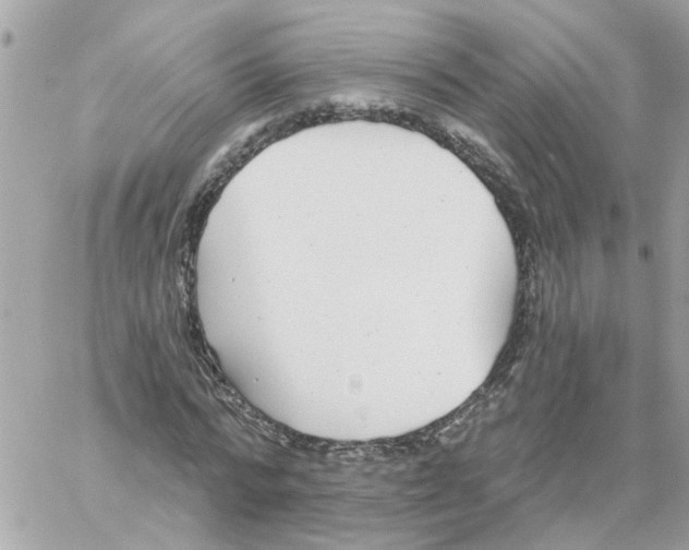 X0000059040776200511041635