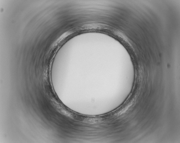 X0000059040778200511041635