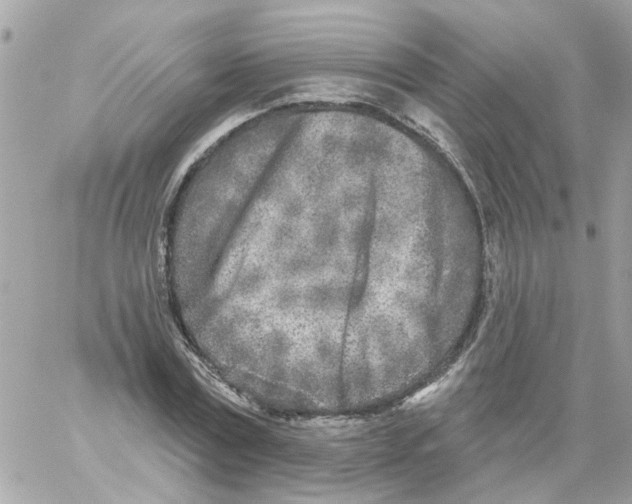 X0000059040779200511041635