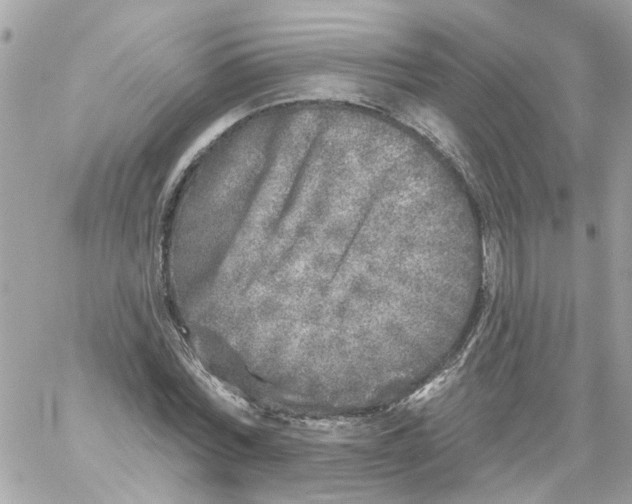 X0000059040780200511041635