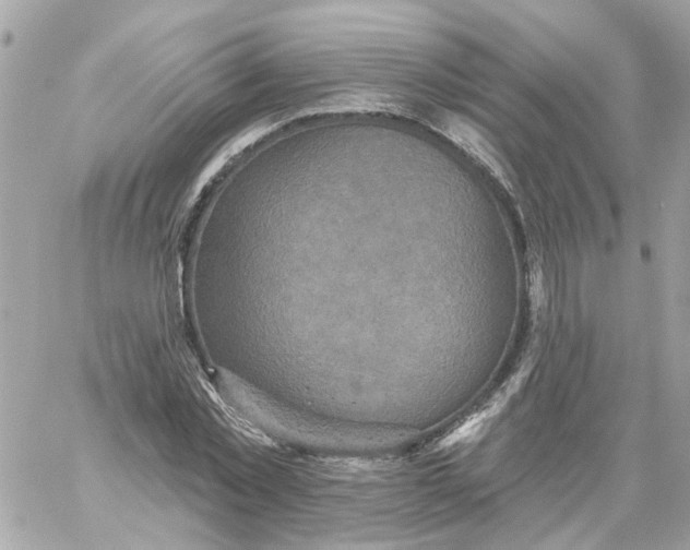 X0000059040781200511041635