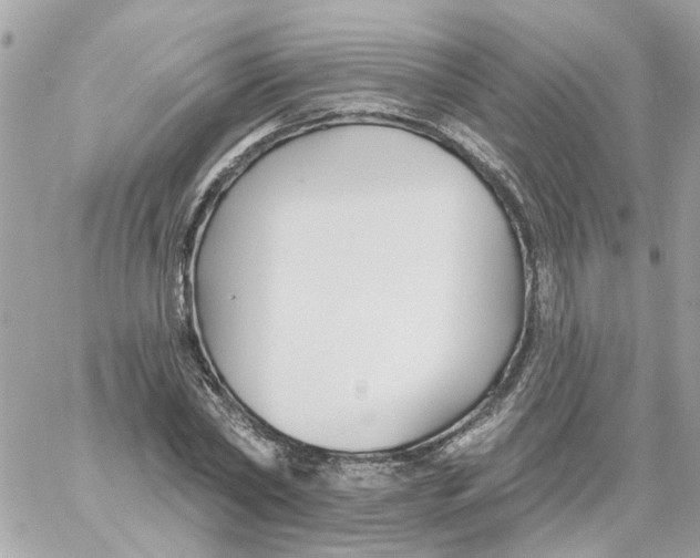 X0000059040782200511041635