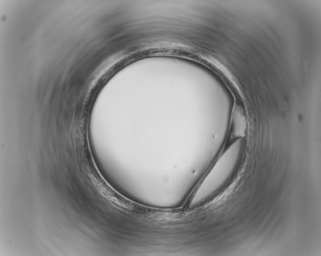 X0000059040783200511041635