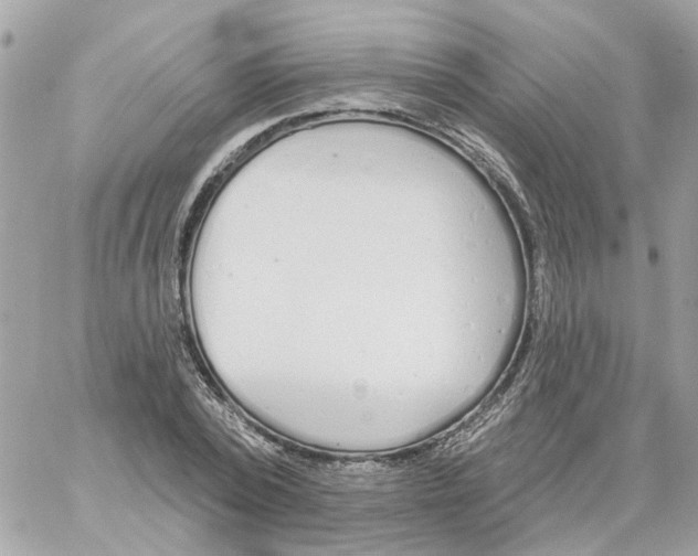 X0000059040784200511041635