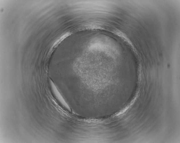 X0000059040785200511041635